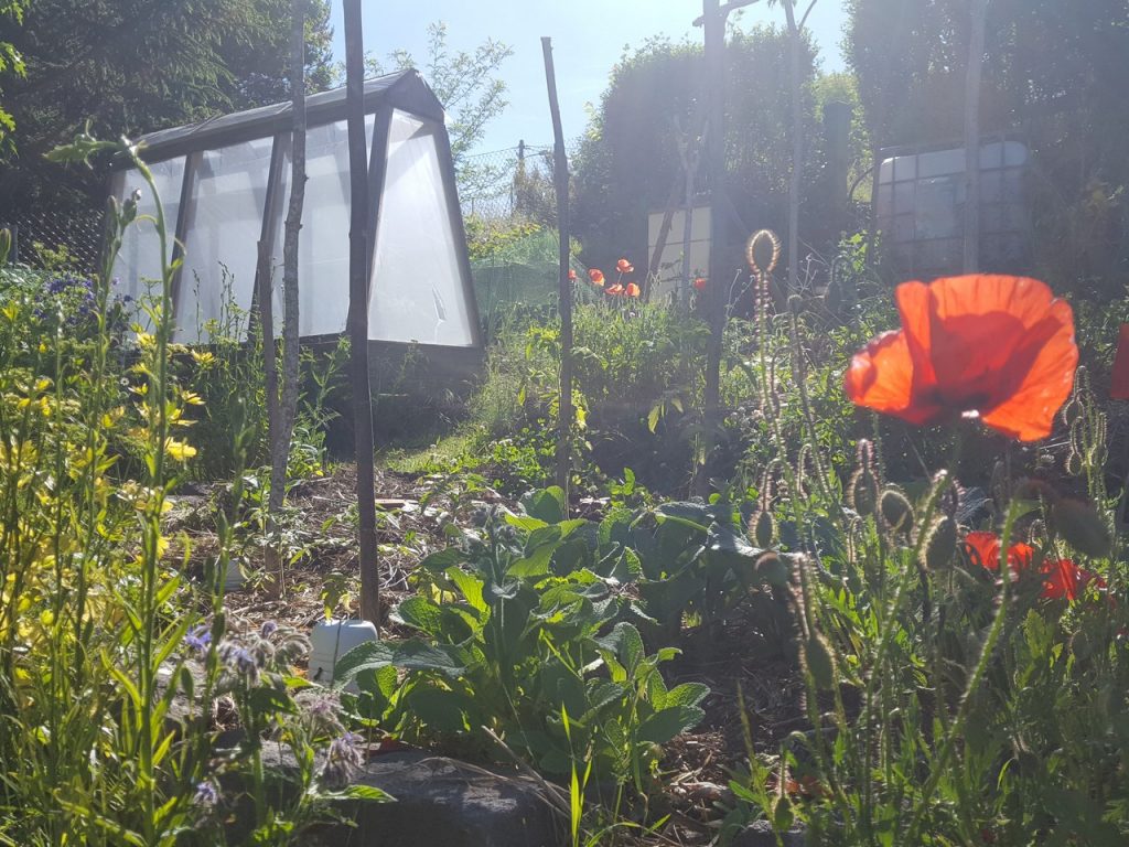 Auvergne-Volvic-Les-Ombelles-Jardin