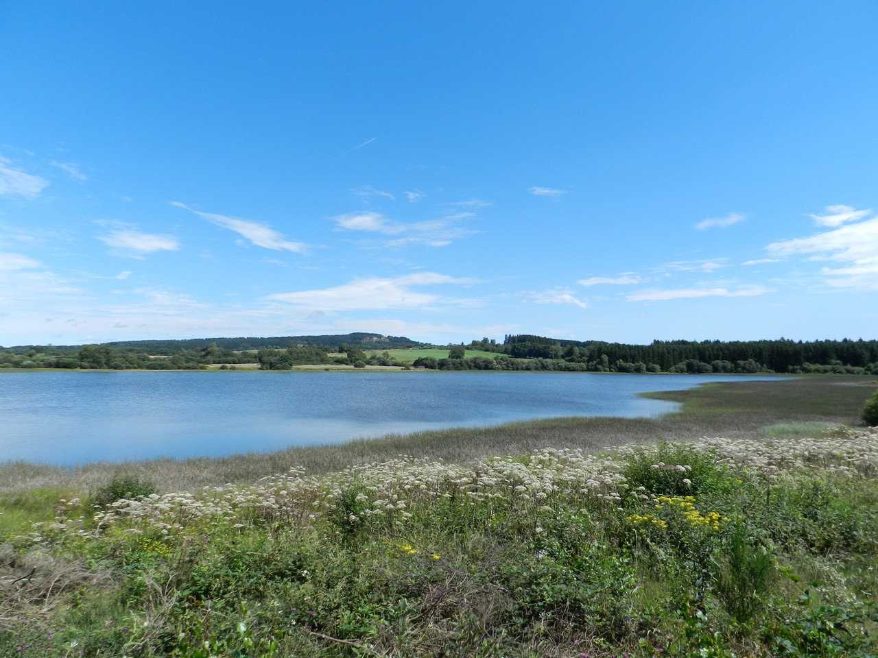 Nature-Les-Ombelles-Volvic-Auvergne Auvergne-Volvic-Les-Ombelles-Nature
