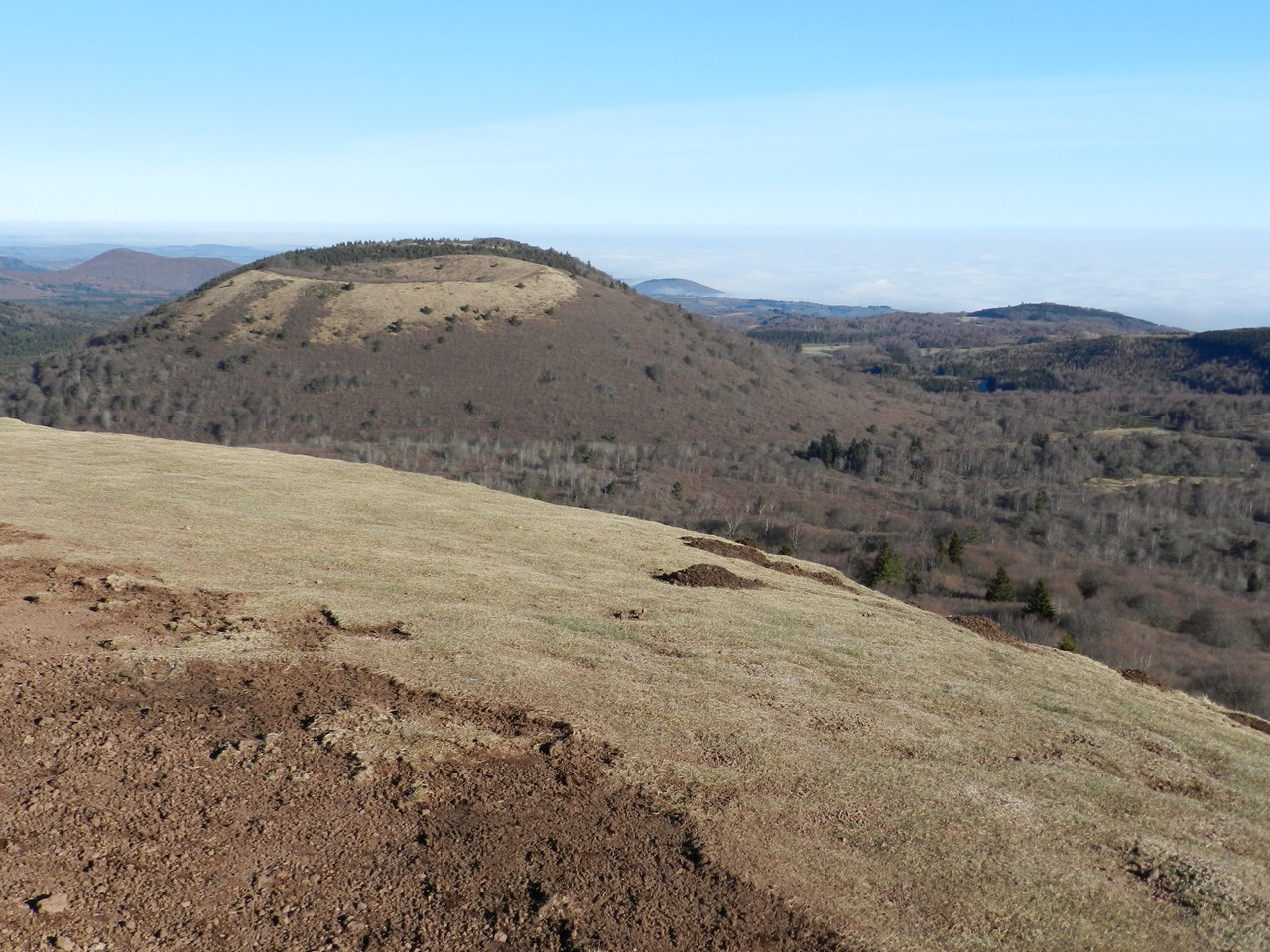 Auvergne-Volvic-Les-Ombelles-Nature