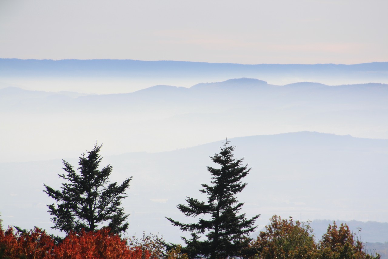 Auvergne-Volvic-Les-Ombelles-Nature