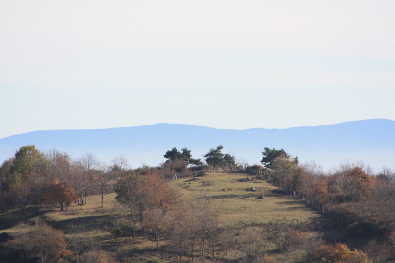 Auvergne-Volvic-Les-Ombelles-Nature