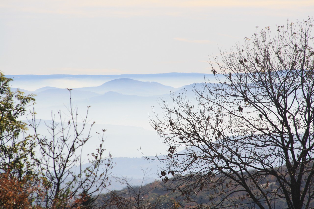 Auvergne-Volvic-Les-Ombelles-Nature