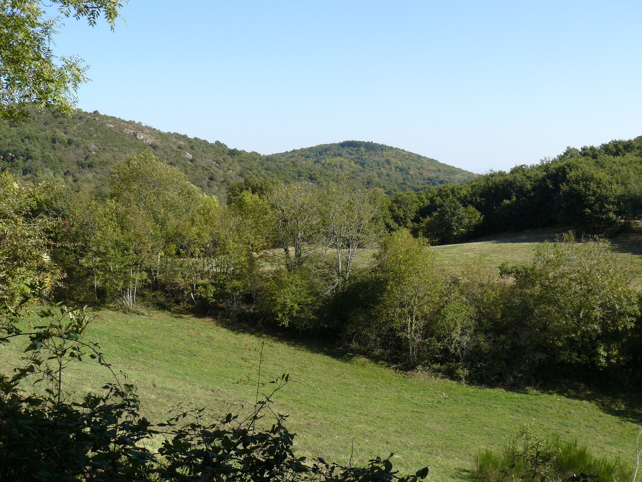 Nature-Les-Ombelles-Volvic-Auvergne Auvergne-Volvic-Les-Ombelles-Nature