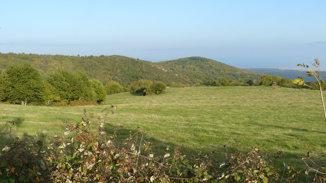 Nature-Les-Ombelles-Volvic-Auvergne Auvergne-Volvic-Les-Ombelles-Nature