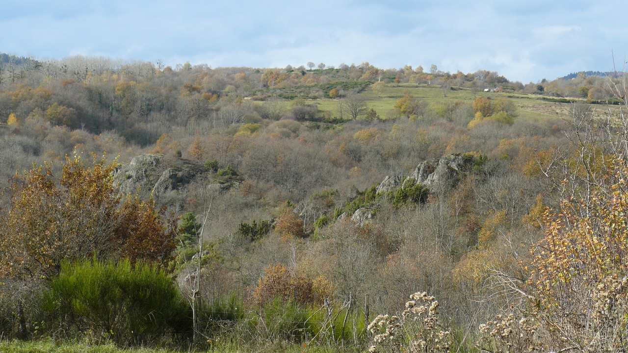 Auvergne-Volvic-Les-Ombelles-Nature