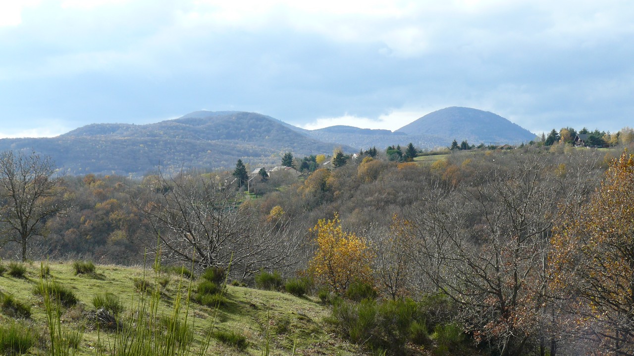 Auvergne-Volvic-Les-Ombelles-Nature