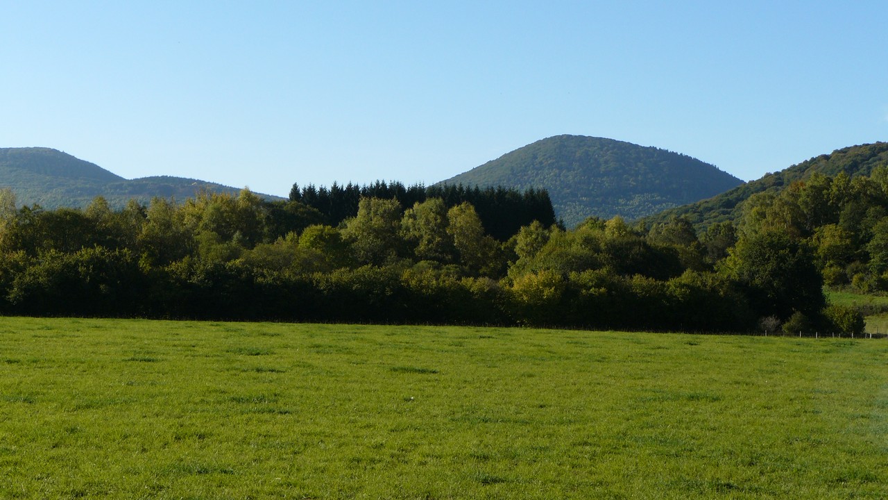 Nature-Les-Ombelles-Volvic-Auvergne Auvergne-Volvic-Les-Ombelles-Nature