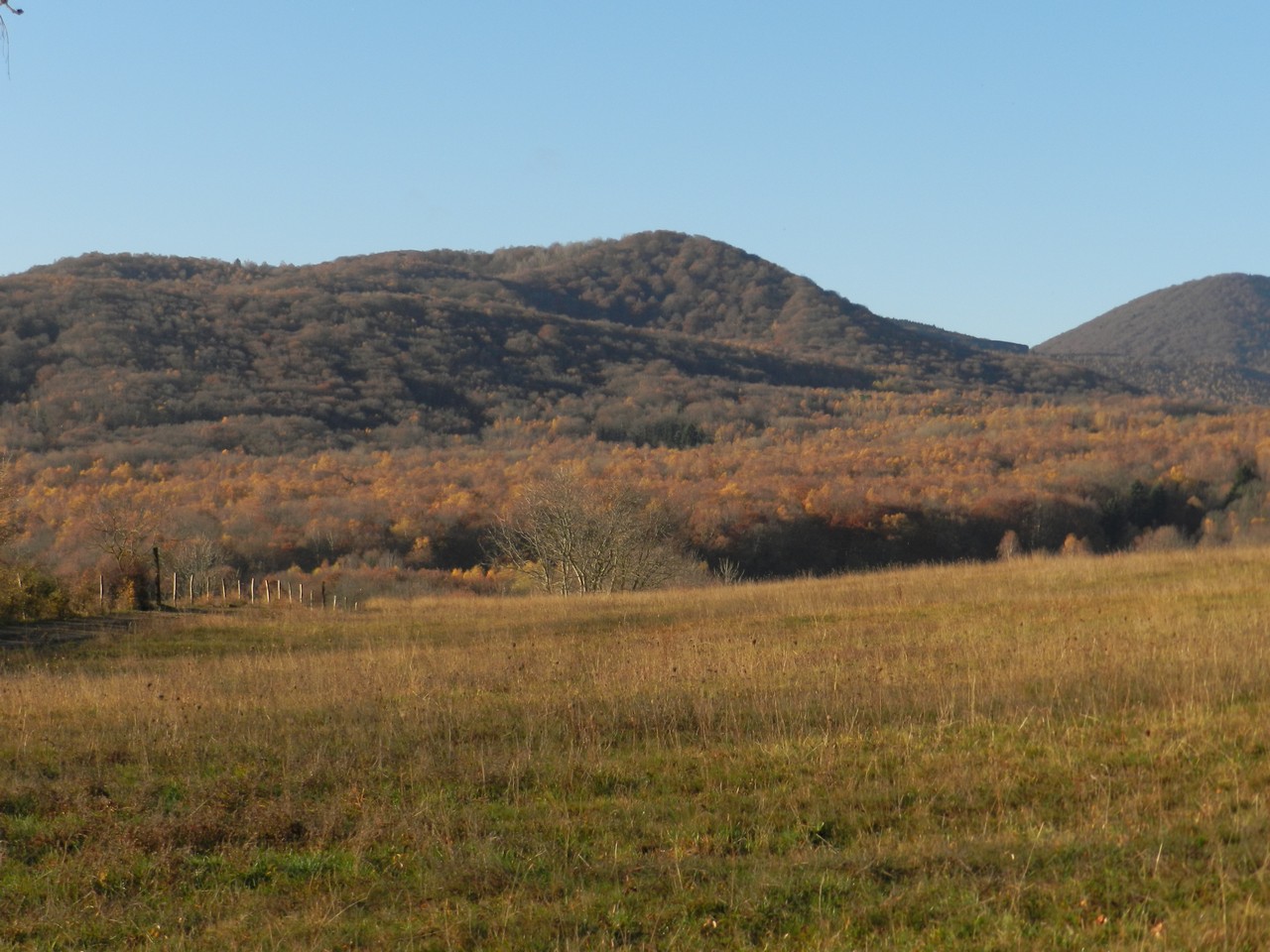 Auvergne-Volvic-Les-Ombelles-Nature