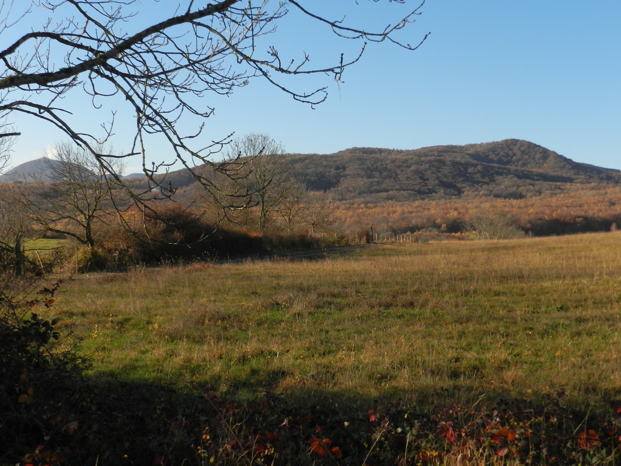 Auvergne-Volvic-Les-Ombelles-Nature