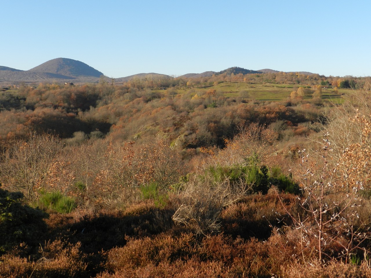 Auvergne-Volvic-Les-Ombelles-Nature