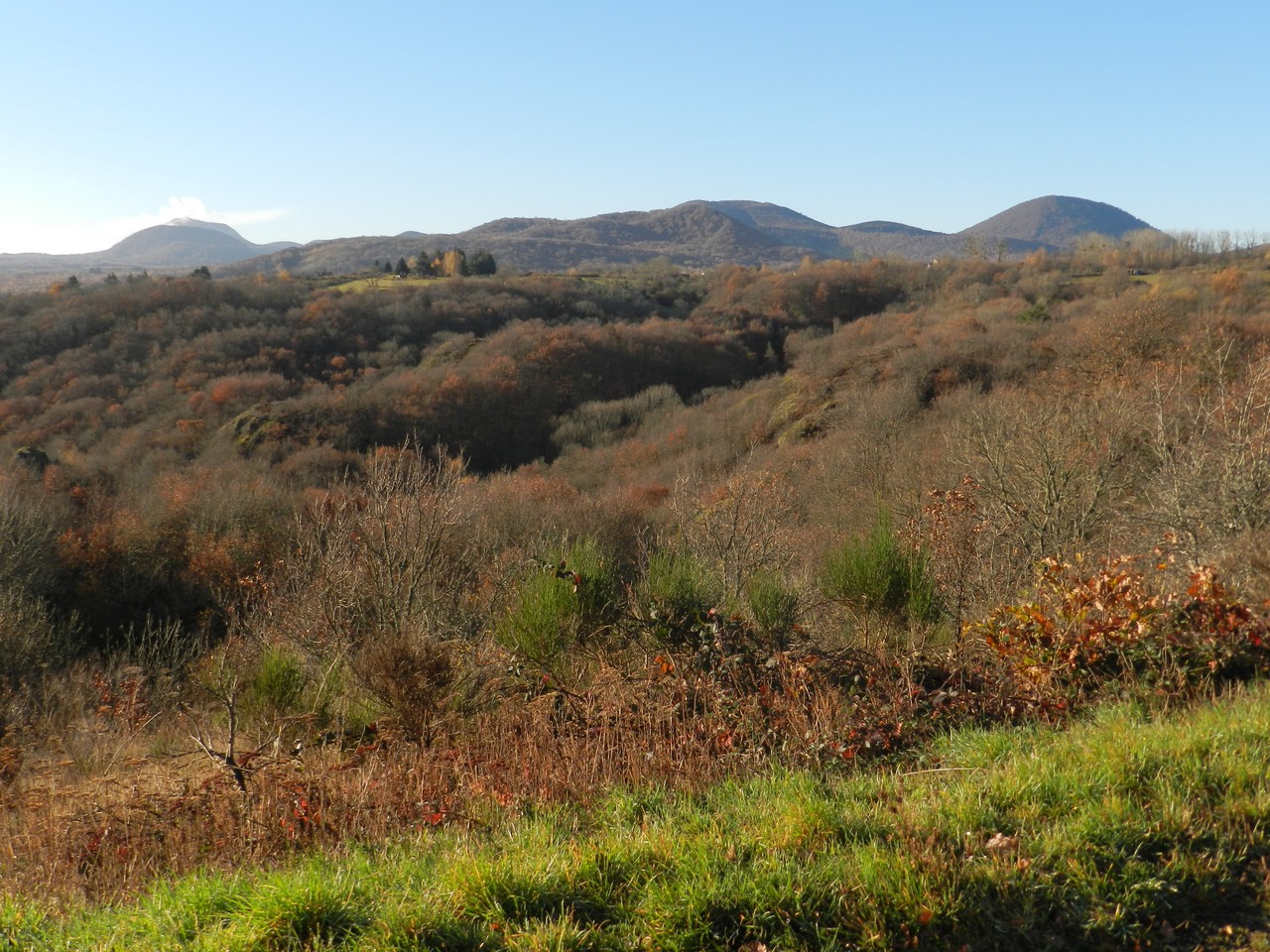 Auvergne-Volvic-Les-Ombelles-Nature