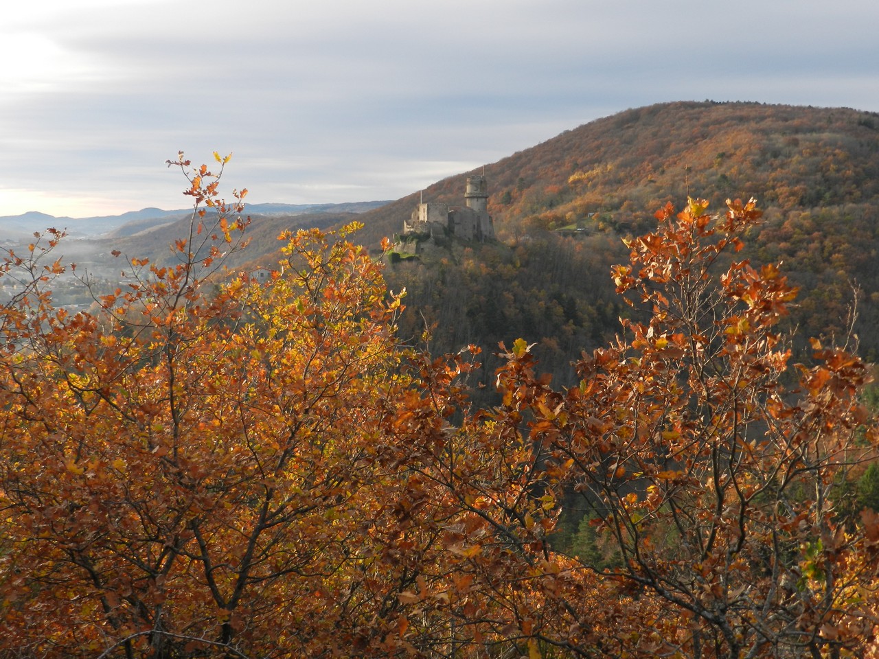 Auvergne-Volvic-Les-Ombelles-Nature