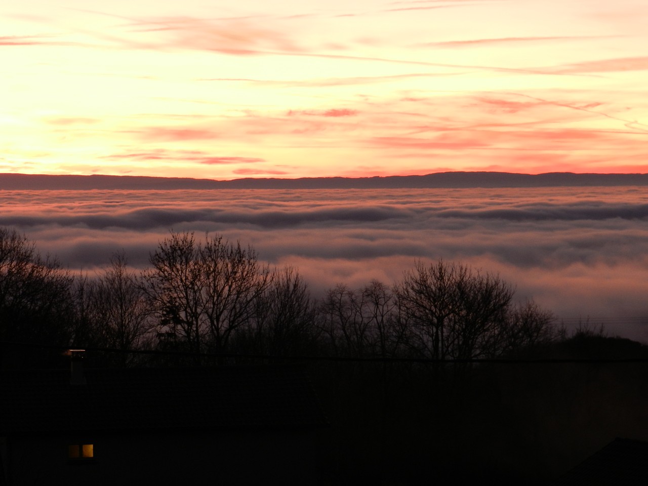 Auvergne-Volvic-Les-Ombelles-Nature