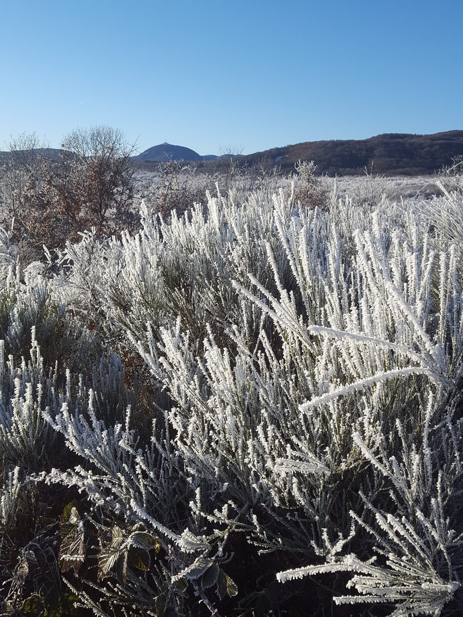 Auvergne-Volvic-Les-Ombelles-Nature