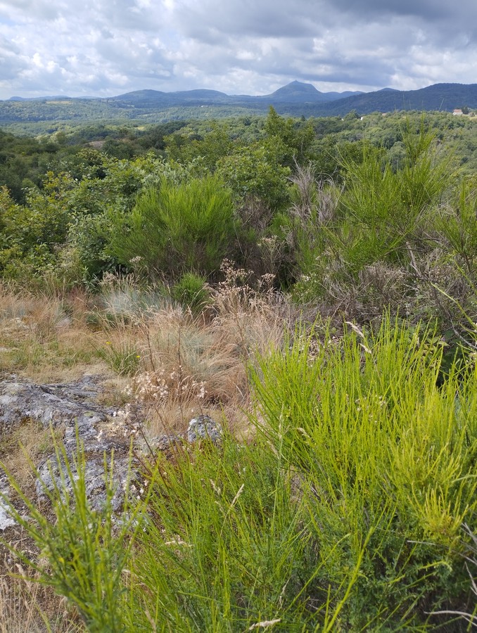 Les-Ombelles-Volvic-Auvergne_20