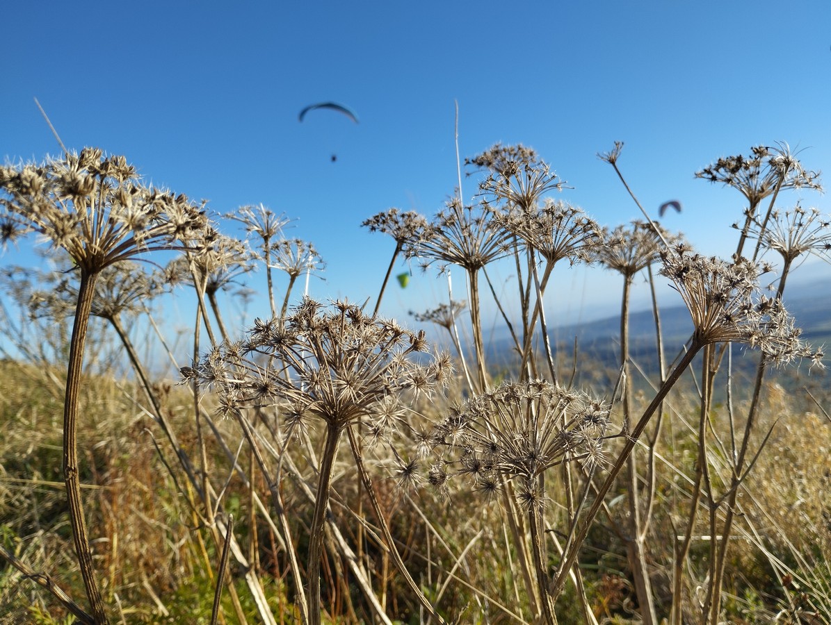 La nature autour des chambres d'hôtes Les Ombelles, hébergement à Volvic près de Clermont-Ferrand.