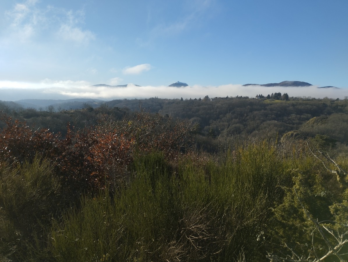La nature autour des chambres d'hôtes Les Ombelles, hébergement à Volvic près de Clermont-Ferrand.