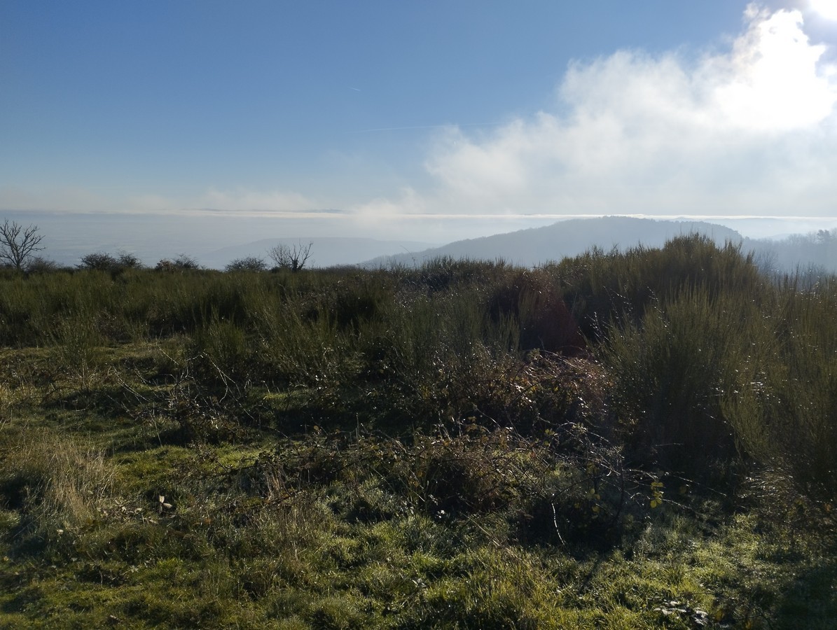 La nature autour des chambres d'hôtes Les Ombelles, hébergement à Volvic près de Clermont-Ferrand.