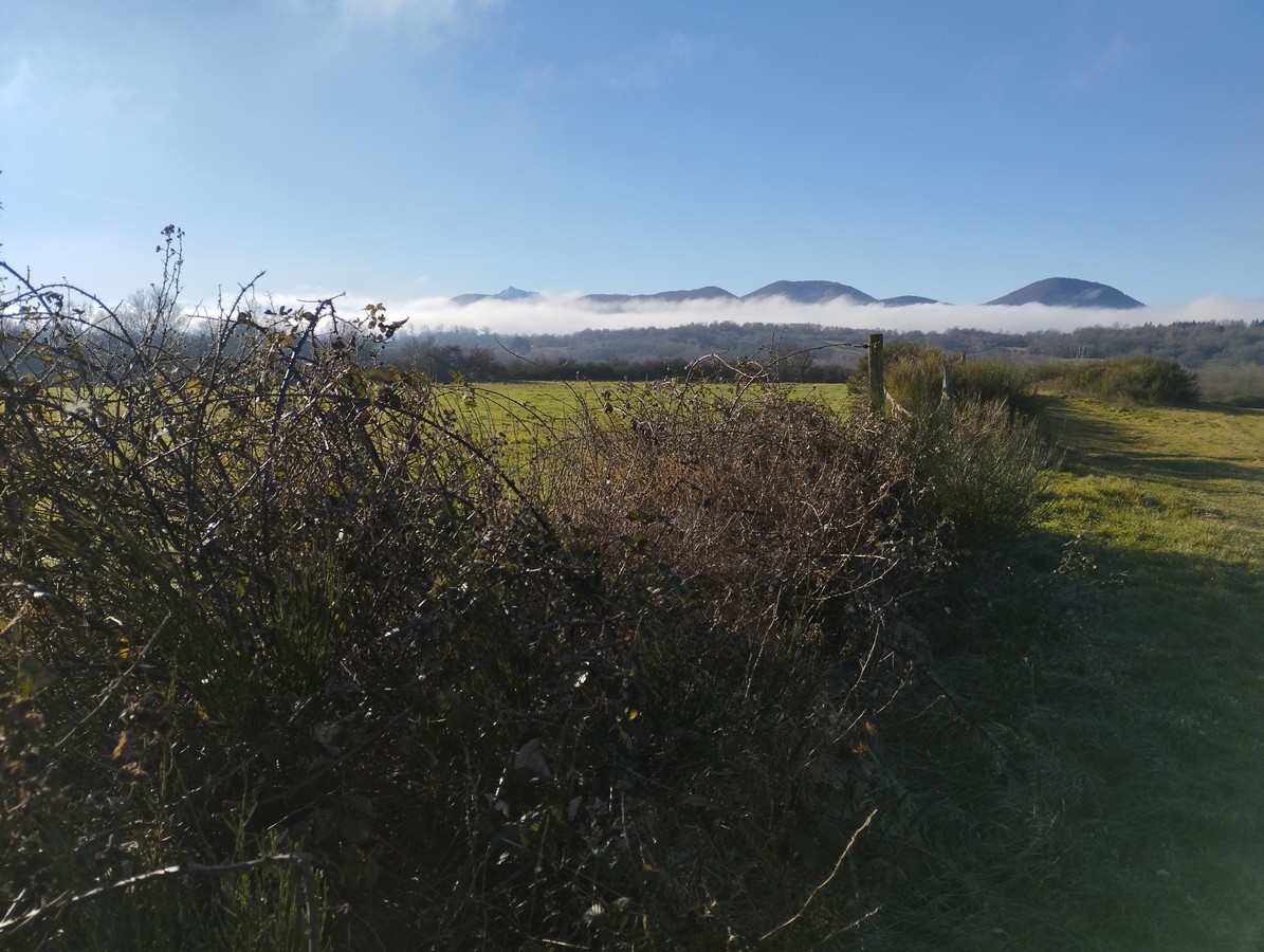 La nature autour des chambres d'hôtes Les Ombelles, hébergement à Volvic près de Clermont-Ferrand.