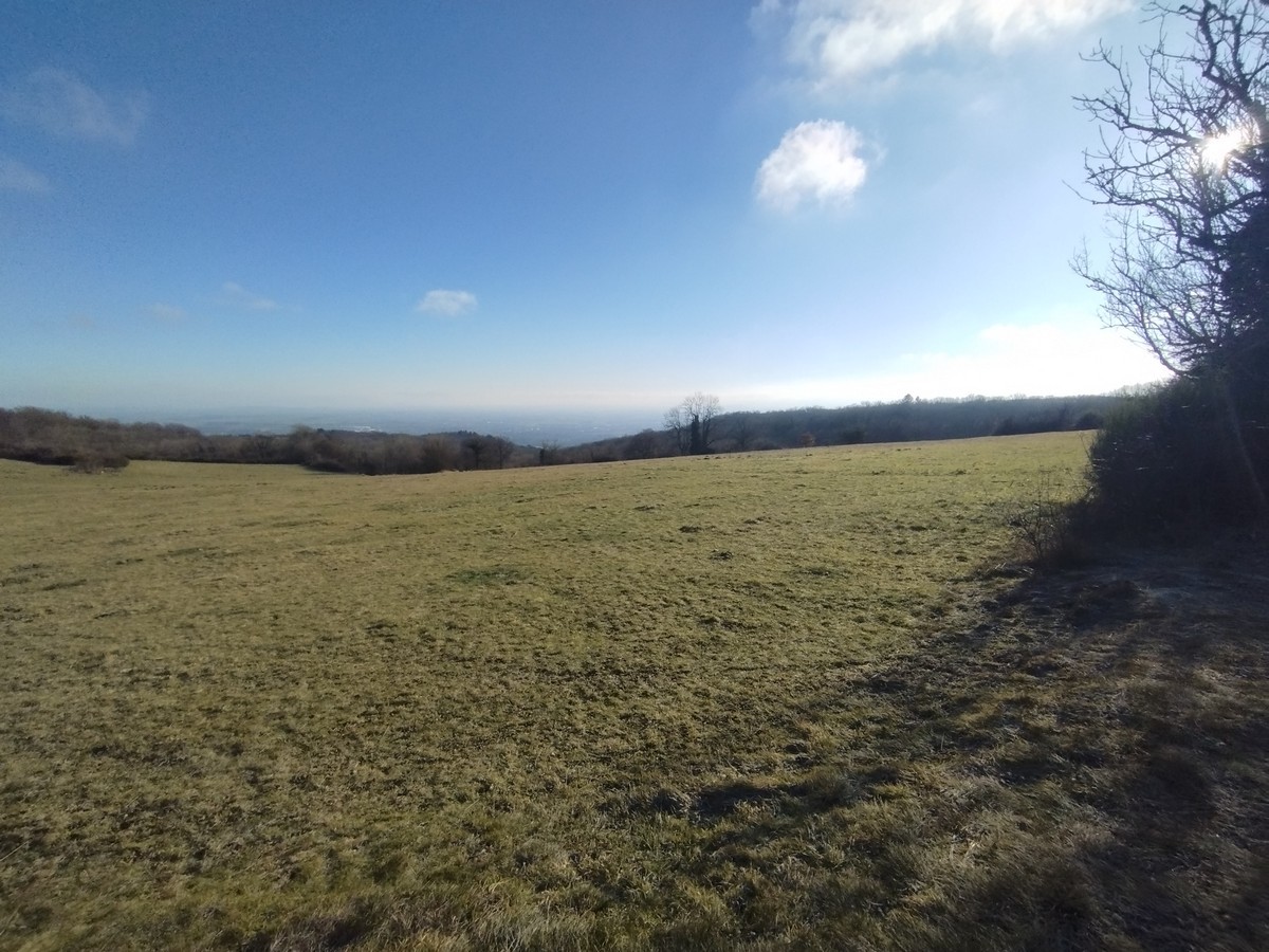 La nature autour des chambres d'hôtes Les Ombelles, hébergement à Volvic près de Clermont-Ferrand.