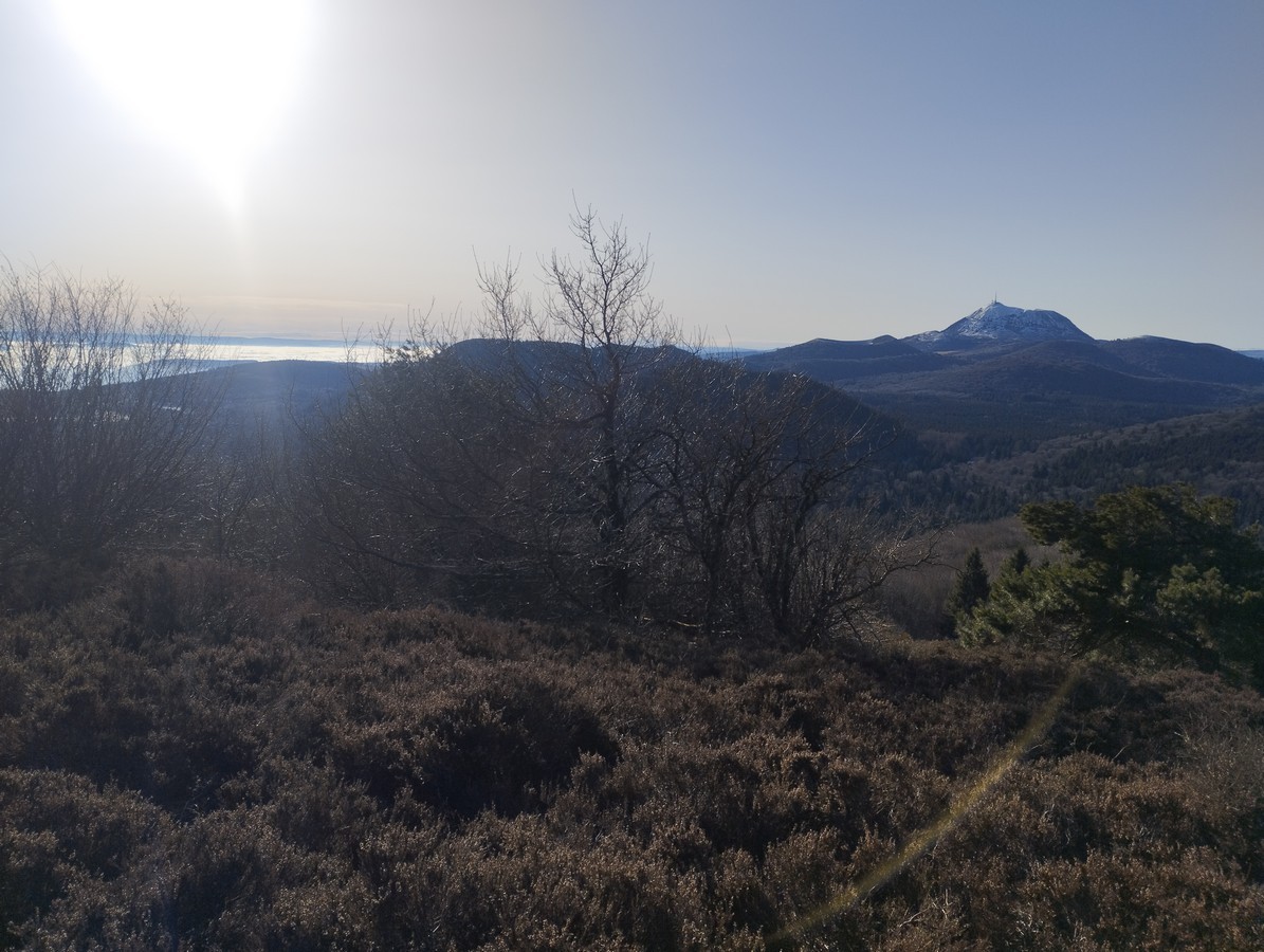 La nature autour des chambres d'hôtes Les Ombelles, hébergement à Volvic près de Clermont-Ferrand.