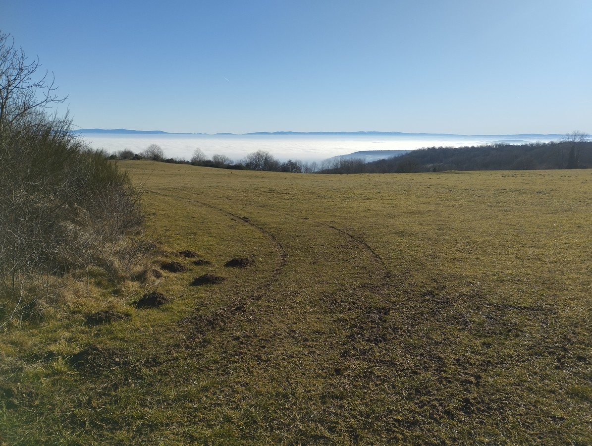 La nature autour des chambres d'hôtes Les Ombelles, hébergement à Volvic près de Clermont-Ferrand.